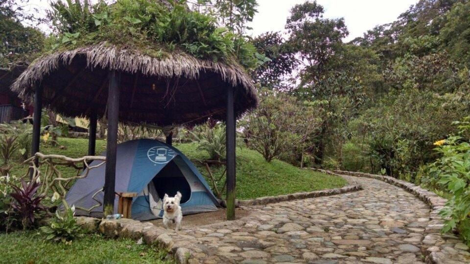 Finca De La Vaca - Family House Hotel Mera Buitenkant foto